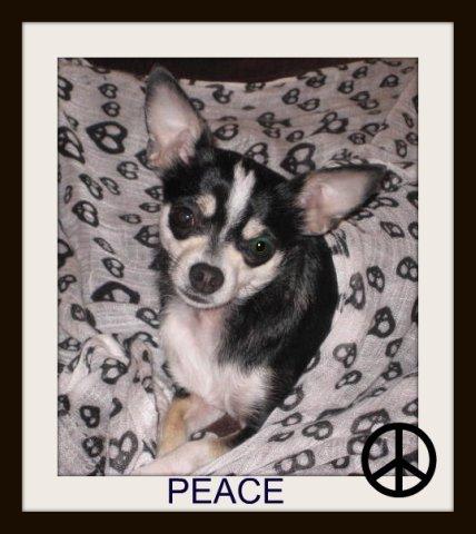 Peace