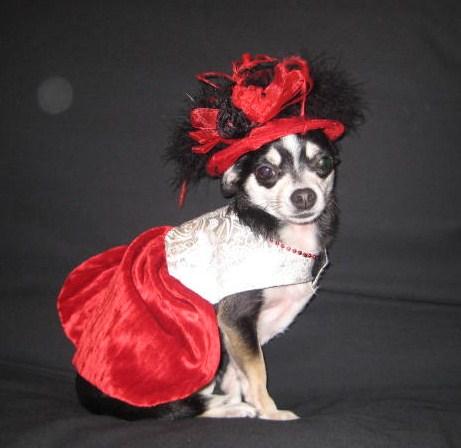 Lady Lola in her Red Hat