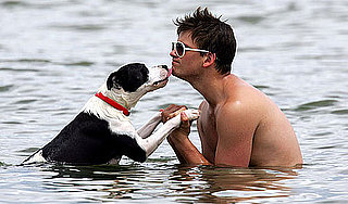 Are the Self-Identified Labels of "Dog People" vs. "Cat People" Unrelated to Pet Ownership?