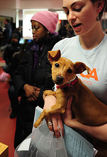 Do You Get Paid Time Off For Volunteering?