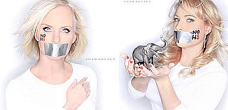 Grab Bag! The McCain Women Say No to Prop 8 