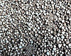 White Pepper: Love It or Hate It?