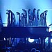 Lady Gaga and Elton John's "Speechless"