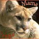 MamaCougar MamaCougar