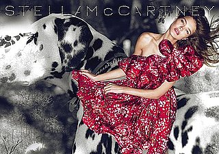 Stella McCartney 2010 Spring Ad Campaign Featuring Natalia Vodianova 2010-02-02 11:15:22