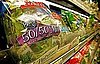 Bacteria and Fecal Contaminants Found in Pre-Washed, Bagged Salad Mixes
