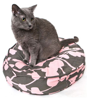 New Product Alert! Molly Meow