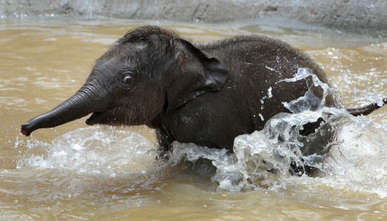 Baby's First Bath! Baby's First Bath!