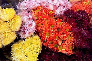 Giving Men Flowers — A Do or Don't?  