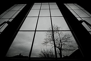 Suicide Facts and Myths