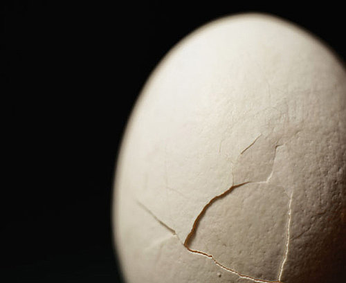 Why Are Fresh Eggs Difficult to Peel When Hard-Boiled?
