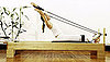 Pilates Concepts: Use Mental Images to Feel Abs Engage