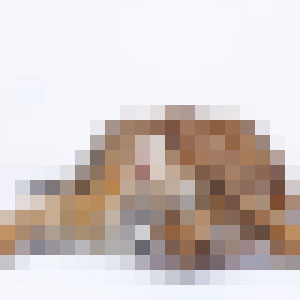 Chinese Zodiac: Guess the Animal Sign! Chinese Zodiac: Guess the Animal Sign!