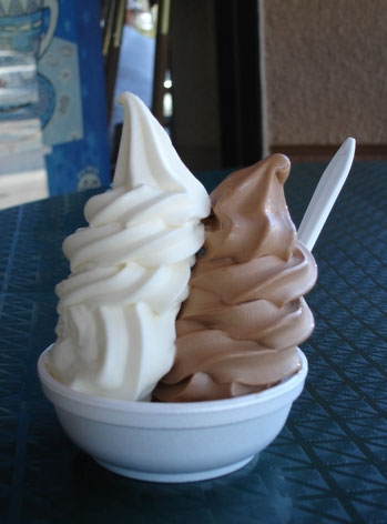 Kicking My Fro-Yo Addiction