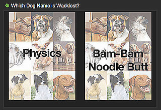 Can You Tell Which Dog Name Is Wackiest For a Shot at $1,000?