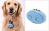 Allergy Sufferers, Make Your Pet Carry His Own Ionizer  