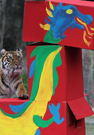 A Dragon Rings in the Year of the Tiger A Dragon Rings in the Year of the Tiger
