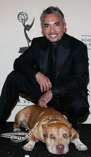 Cesar Millan's Dog Died