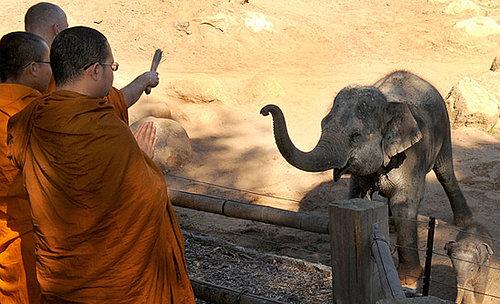 Buddhist Monks Offer a Blessed Naming Ceremony For Mali 