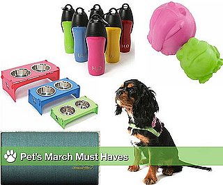 Sugar Shout Out: March Must Haves