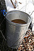 National Food Festivals and Food Events, March 2-9, 2010