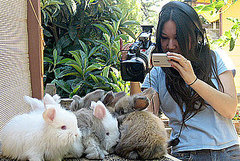 Hare-Raising Documentary Hops Into Competitive Bunny World Hare-Raising Documentary Hops Into Competitive Bunny World