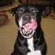 danakscully64's picture
