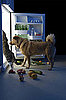 Do Tell: If Pets Had Thumbs . . .
