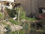 Vacation Pictures 