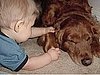 Is a Pet Good Practice For a Baby?