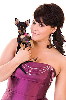 Have You Attended a Black-Tie Event With Your Pet?