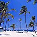Beautiful Destinations : Nisbet Plantation