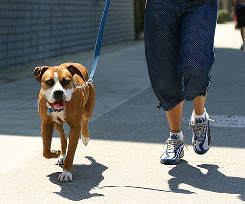 Walk For Speed and Distance Walk For Speed and Distance