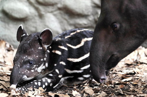 Welcome to the World Welcome to the World