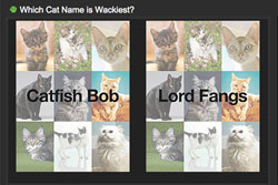 So Many Silly Pet Names, So Little Time!