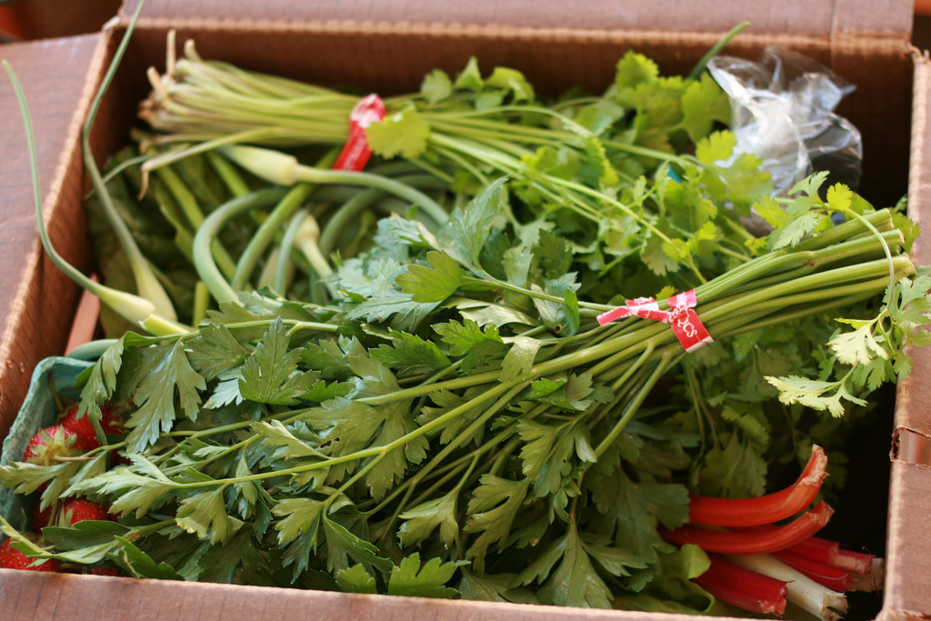 Poll: Do You Subscribe to Community Supported Agriculture? Poll: Do You Subscribe to Community Supported Agriculture?