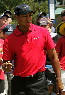 Comcast to Broadcast The Masters in 3D and in 3D Online