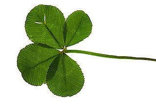 Irish Tunes For a St. Patrick's Day Workout