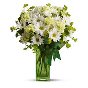 St. Patty's Day Flowers