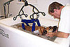 VetSystems Canine Whirlpool