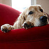 Weekly Recap 2010-03-20 04:00:43