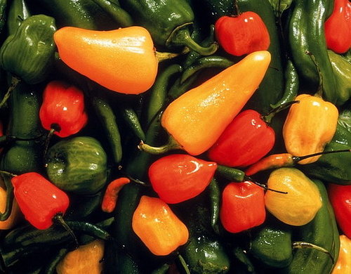 Do You Like Spicy Foods?