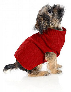 Online Sale Alert! Brooks Brothers Doggie Gear 50 Percent Off
