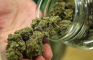 California Could Become First State to Legalize Marijuana