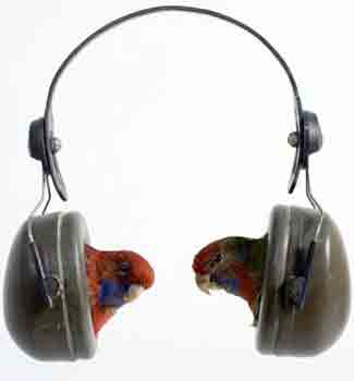 The Most Ridiculous Headphones Ever