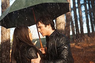 The Vampire Diaries Debate About Elena and Damon's Relationship
