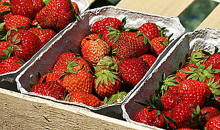 Strawberry Prices Expected to Drop Dramatically