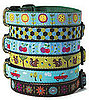 Up Country Releases Larkspur Collection