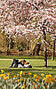 Spring in St. James Park London