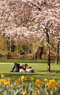 Spring in St. James Park London